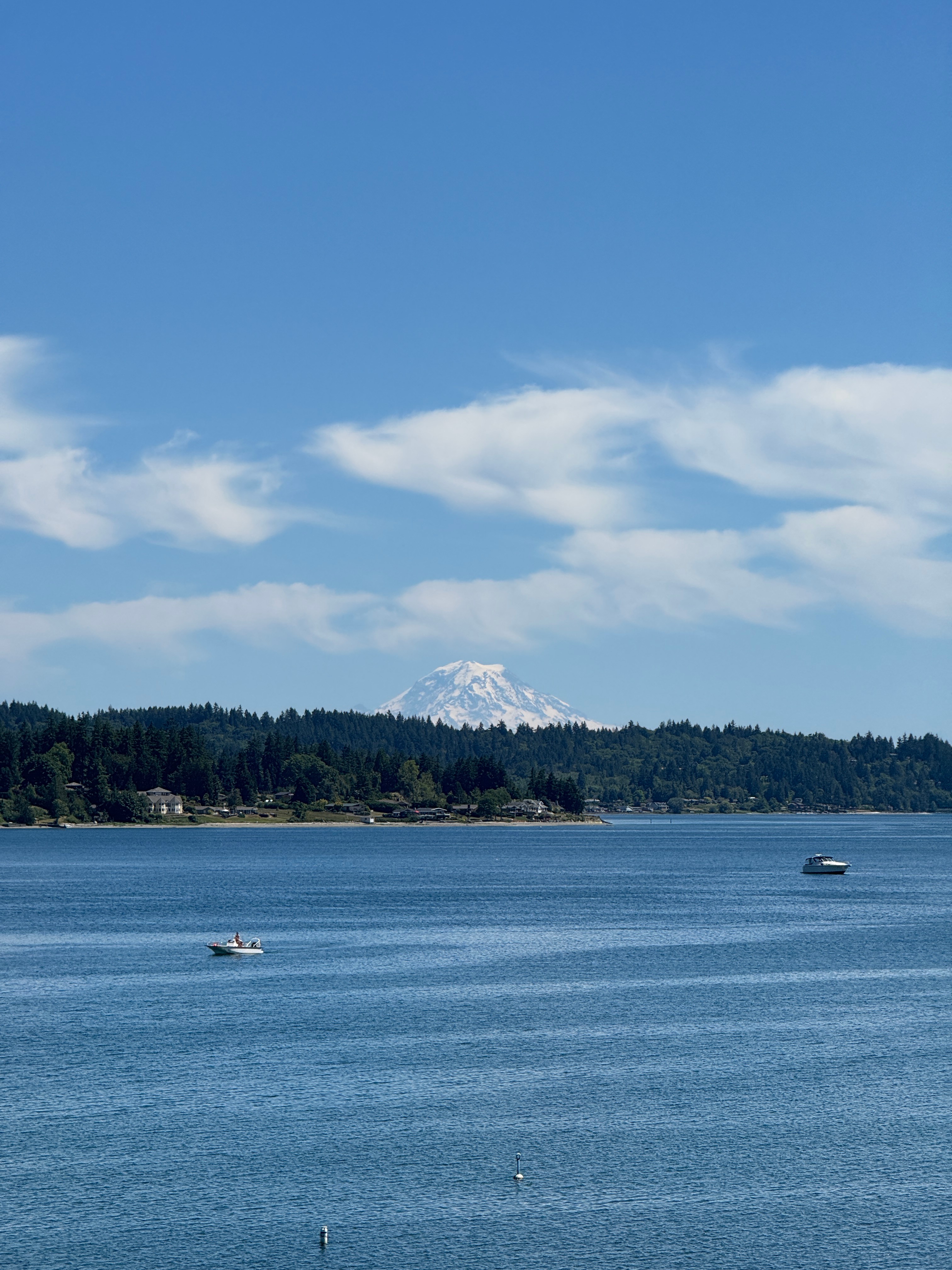 Person making a Bouquette of flowers